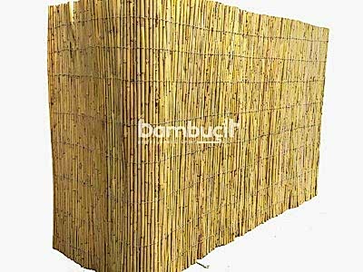 Bambu Paravan