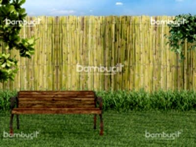 Bambu Çit
