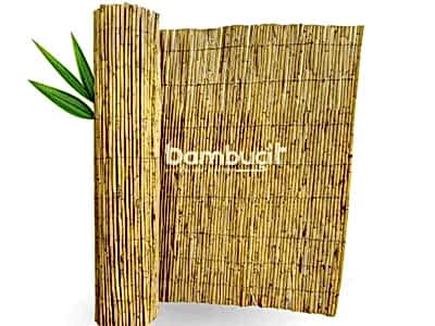 Bambu Çit